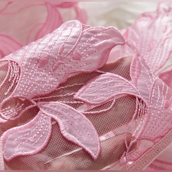 2 For $40! NEW! Pretty In Pink Elegant Lace Lingerie Set Size XL - Picture 4 of 6